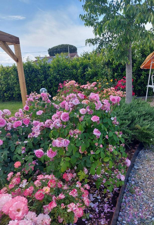 Villa Monica ピストイア エクステリア 写真